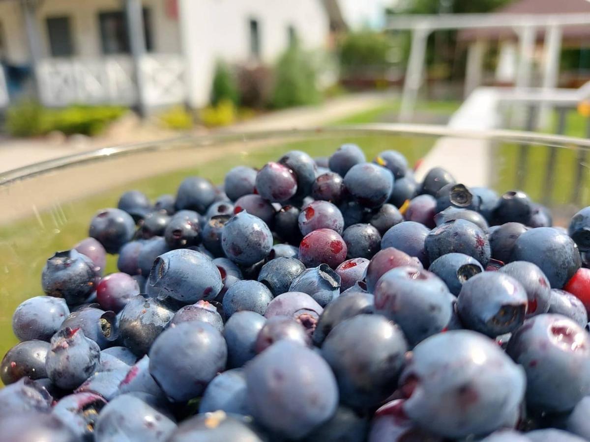 Nadmorz Sztutowo Villa Luaran gambar
