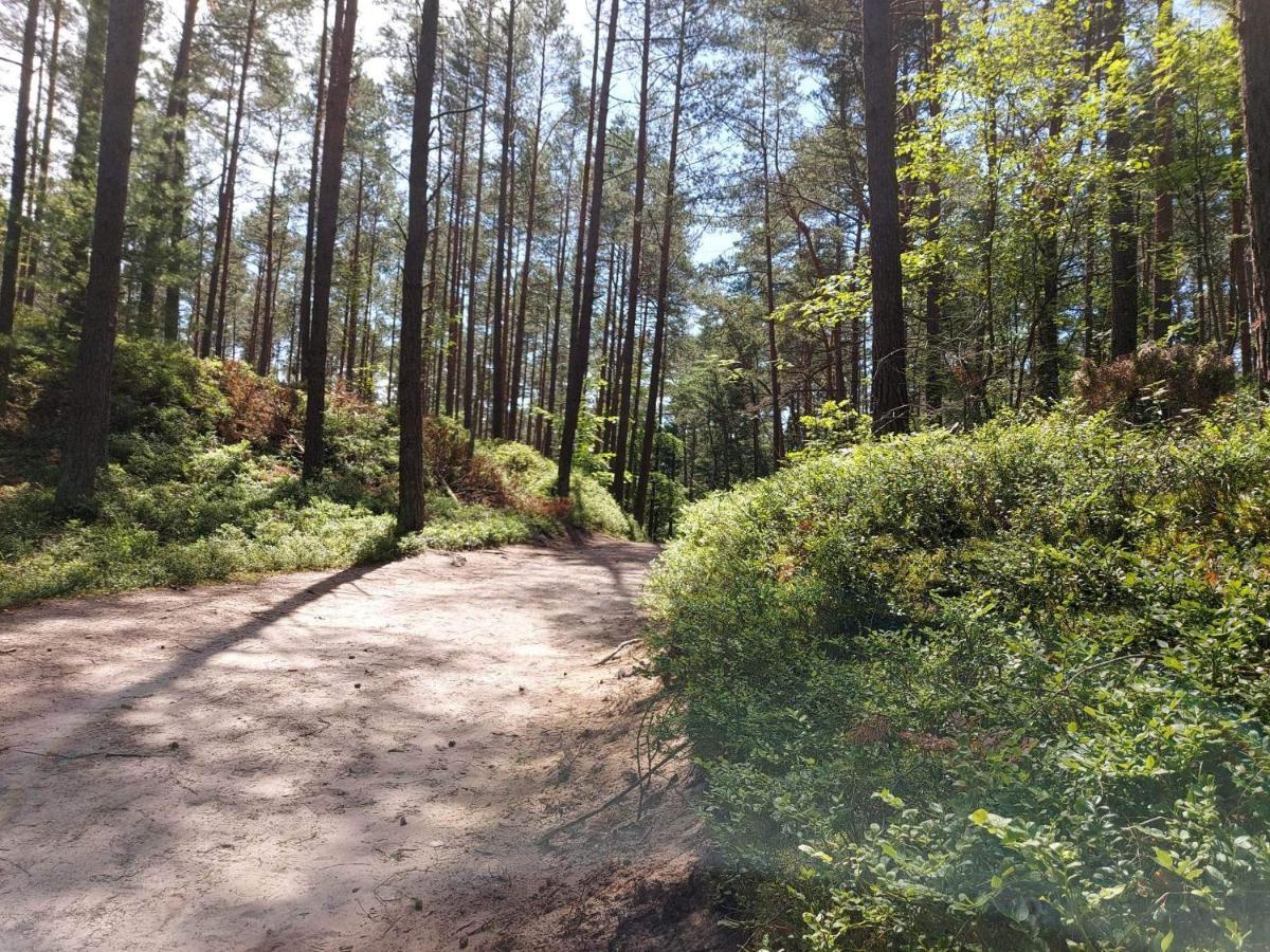 Nadmorz Sztutowo Villa Luaran gambar