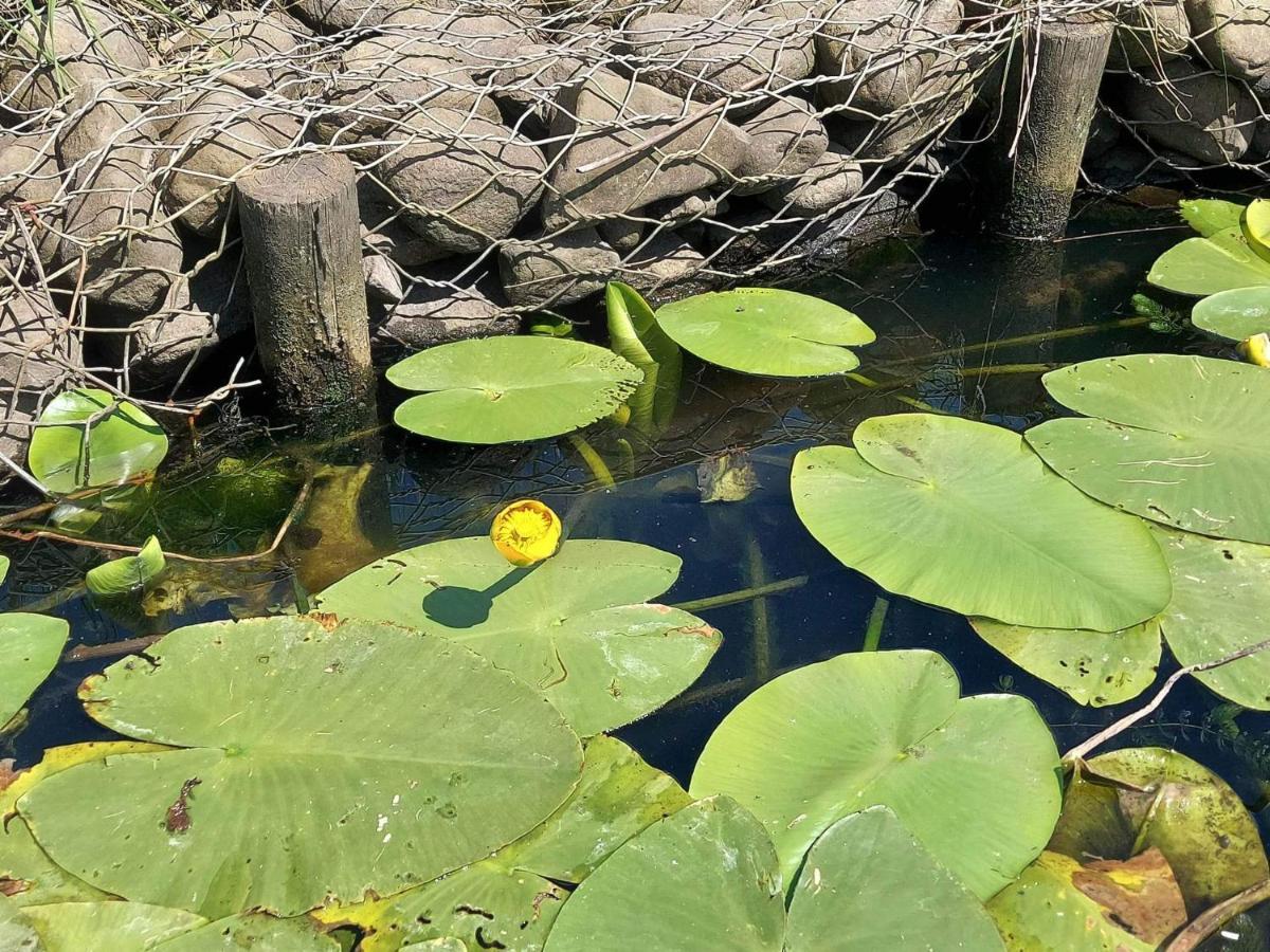Nadmorz Sztutowo Villa Luaran gambar