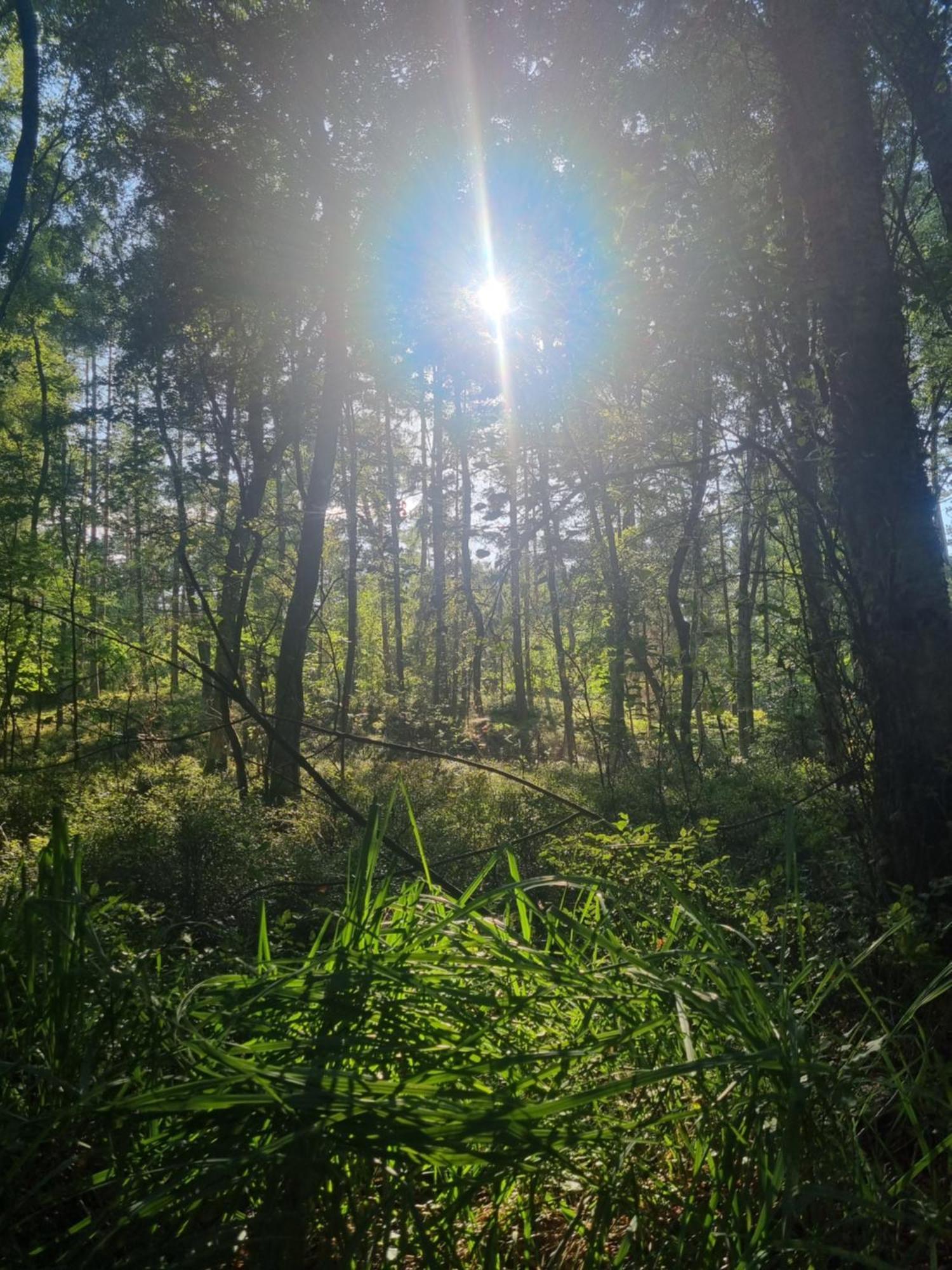 Nadmorz Sztutowo Villa Luaran gambar