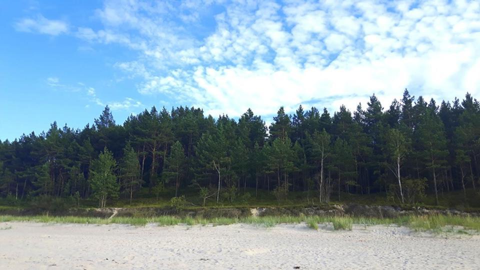 Nadmorz Sztutowo Villa Luaran gambar